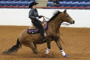 Chantz Stewart and her competition horse Shy come to a sliding stop during the reining pattern against Delaware State University at the Fort Worth Stock Show and Rodeo on Feb. 7, 2014.